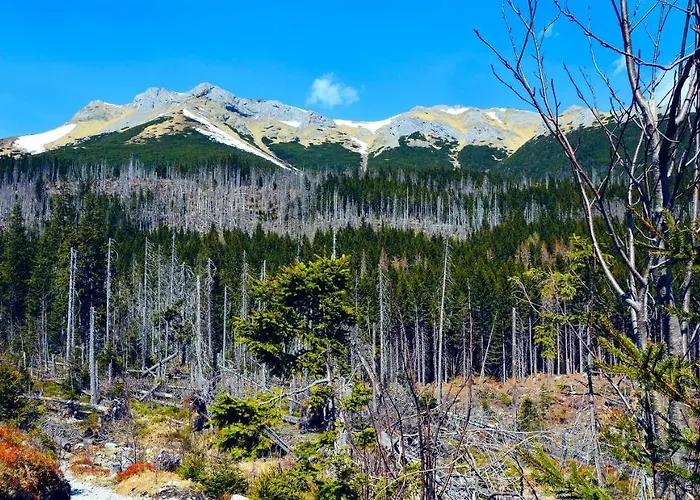 Tatramount - Bernard - Stary Smokovec * Vysoké Tatry